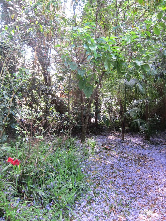 Kidd Street Cottages Mount Tamborine Εξωτερικό φωτογραφία