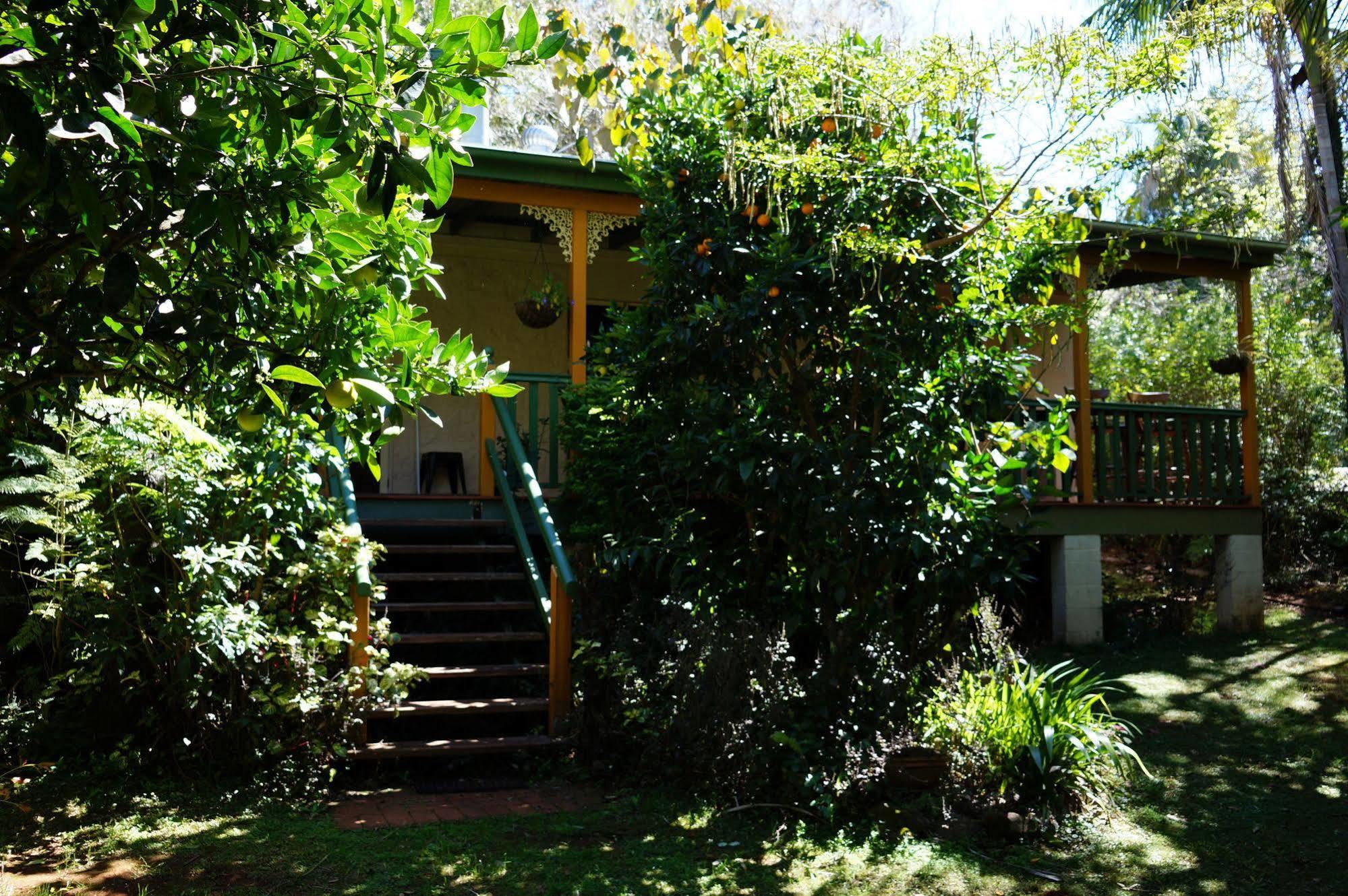 Kidd Street Cottages Mount Tamborine Εξωτερικό φωτογραφία